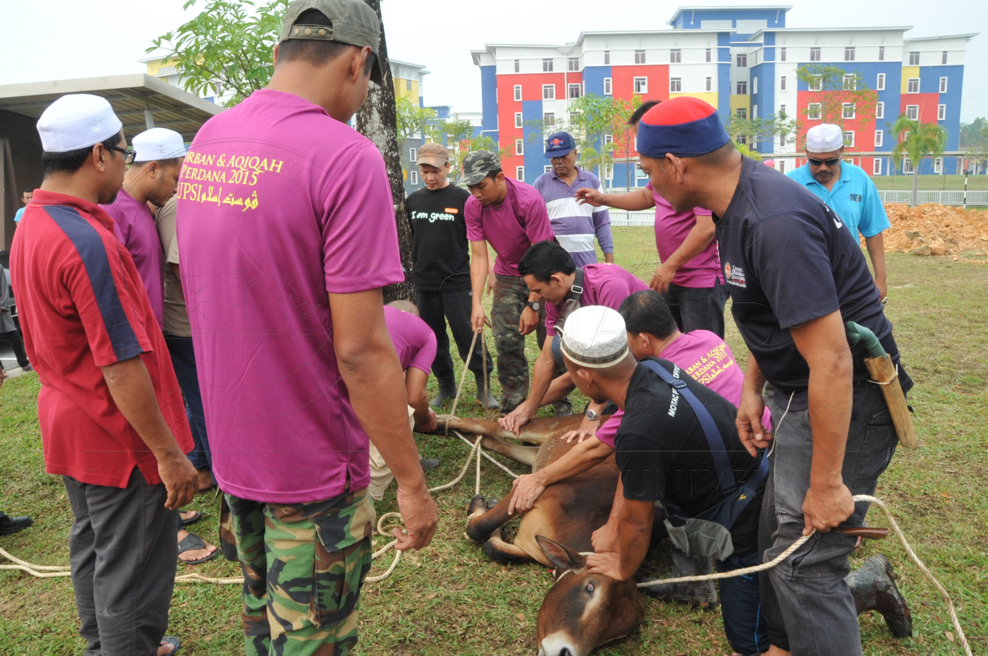 PRO15 150 KORBAN HAS 6766